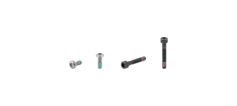 Electra Townie Go! 5i Rack Bolt Set