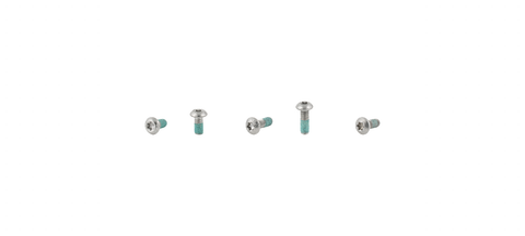 Electra Townie Go! 5i Fender Bolt Set