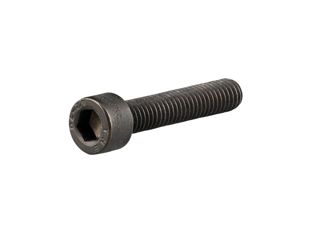 Trek Allant+ 9.9 Stem Cap Bolt