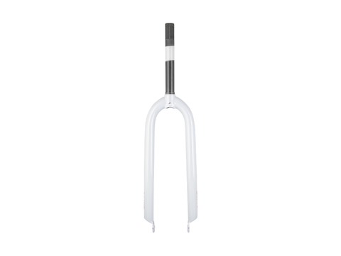 Electra Cruiser Lux 1 26? Rigid Fork