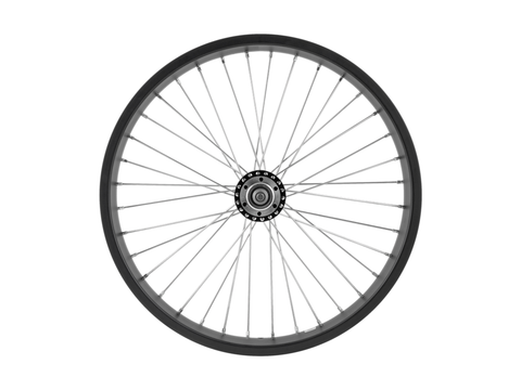 Electra Ponto Go! 20? Wheel
