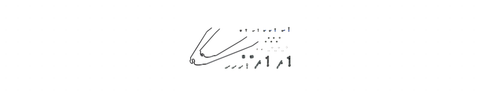 Trek Wahoo Path Fender Set