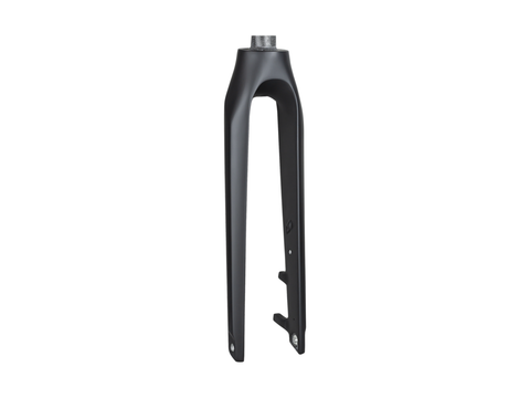 Trek 2020-2022 Allant+ 9.9 700c Rigid Fork