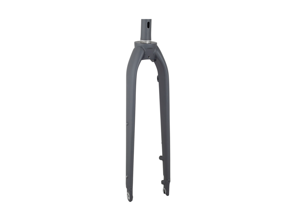 Trek Dual Sport 1 Thru-Axle 29? Rigid Fork