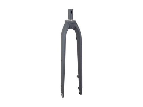 Trek Dual Sport 1 Thru-Axle 29? Rigid Fork