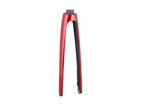 Trek 2021 Domane+ ALR 700c Rigid Fork