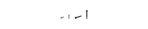Electra Townie Go! 5i Rack Bolt Set